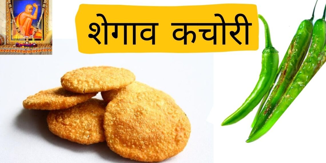 शेगाव सुप्रसिद्ध कचोरी निघाली विदेशी (Video)