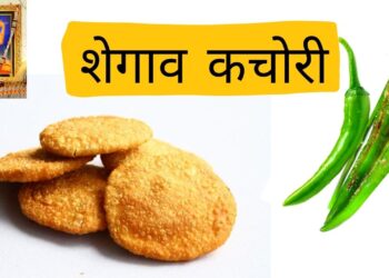 शेगाव सुप्रसिद्ध कचोरी निघाली विदेशी (Video)