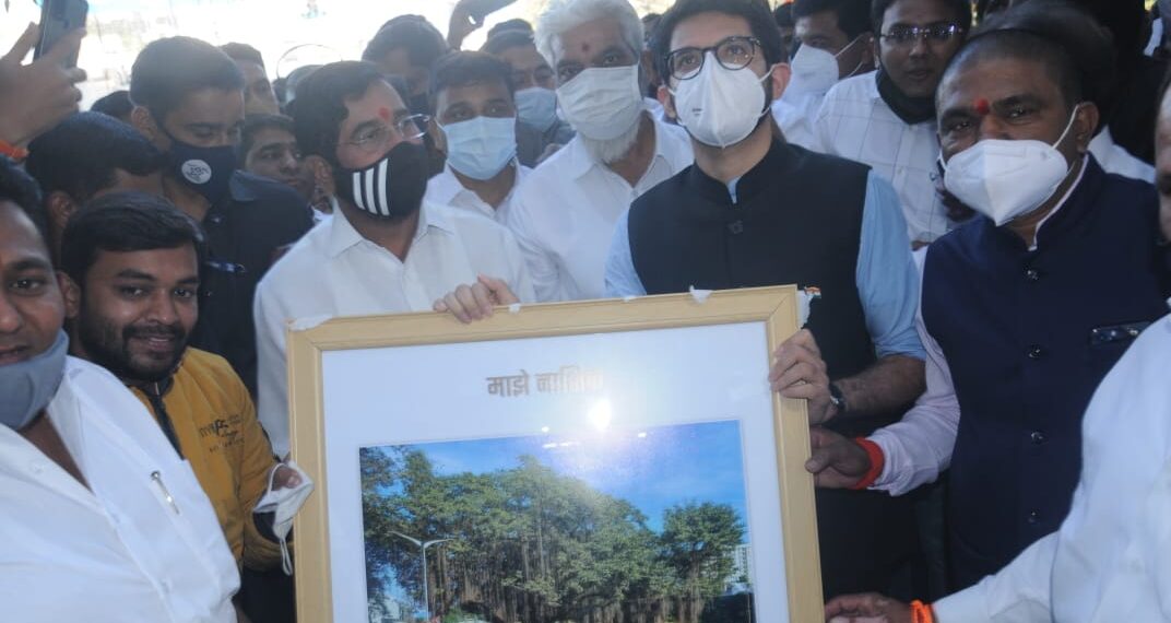 200 वर्षांचा वटवृक्ष वाचला आहे, नाशिककरांनो काळजी करू नका
