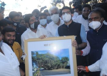 200  वर्षांचा वटवृक्ष वाचला आहे, नाशिककरांनो काळजी करू नका