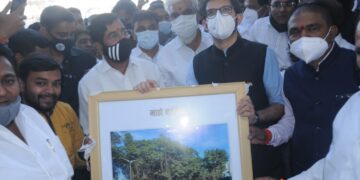 200  वर्षांचा वटवृक्ष वाचला आहे, नाशिककरांनो काळजी करू नका