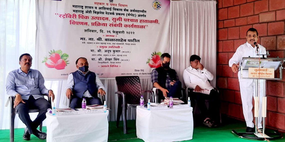 पणन मंडळाच्या योजनांचा स्ट्रॉबेरी उत्पादक शेतकऱ्यांनी लाभ घ्यावा… सहकार व पणनमंत्री बाळासाहेब पाटील