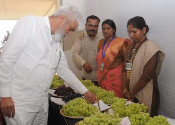 द्राक्षांच्या विविध उत्कृष्ट वाणांचे उत्पादन करणाऱ्या 35 शेतकरी व उत्पादकांनाचा सन्मान