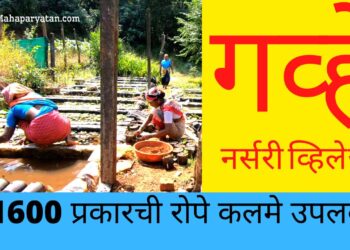 ५ कोटींचा व्यवसाय करणारे कोंकणातील छोटेसे गाव – Video