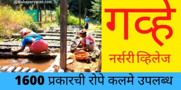 ५ कोटींचा व्यवसाय करणारे कोंकणातील छोटेसे गाव – Video