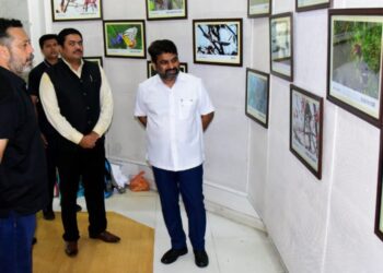 वन्यजीव प्रेमींनो ! वाईल्ड लाइफ फोटोग्राफी पाहिली का ?
