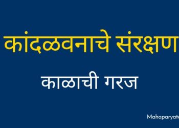 झपाट्याने वाढणाऱ्या शहरीकरणामुळे कांदळवनाचा ऱ्हास म्हणजे मुंबई शहरासाठी चिंतेचे कारण