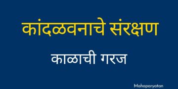 झपाट्याने वाढणाऱ्या शहरीकरणामुळे कांदळवनाचा ऱ्हास म्हणजे मुंबई शहरासाठी चिंतेचे कारण