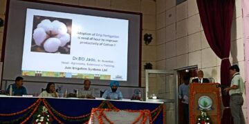 कापूस पिक वाढीसाठी ड्रिप फर्टिगेशन तंत्रज्ञानाचा वापर करणे काळाची गरज