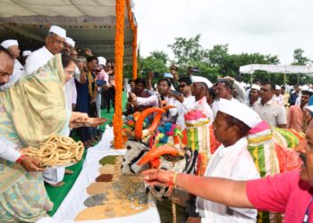 जैन हिल्स येथे सर्जाराजाचा पोळा उत्साहात साजरा