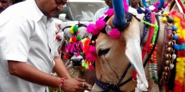 पोळ्याला बैलांची पूजा गोठ्यातच करण्याचे आवाहन