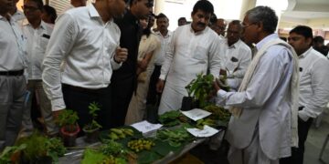 निरोगी शरीरासाठी रानभाज्यांचे महत्व अनन्यसाधारण
