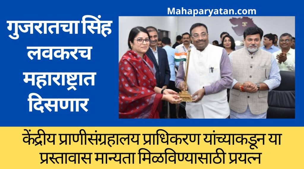 गुजरातचा सिंह लवकरच महाराष्ट्रात दिसणार