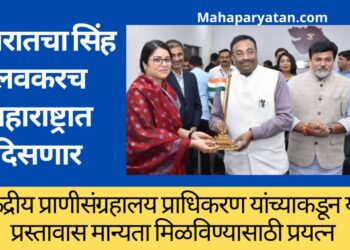 गुजरातचा सिंह लवकरच महाराष्ट्रात दिसणार