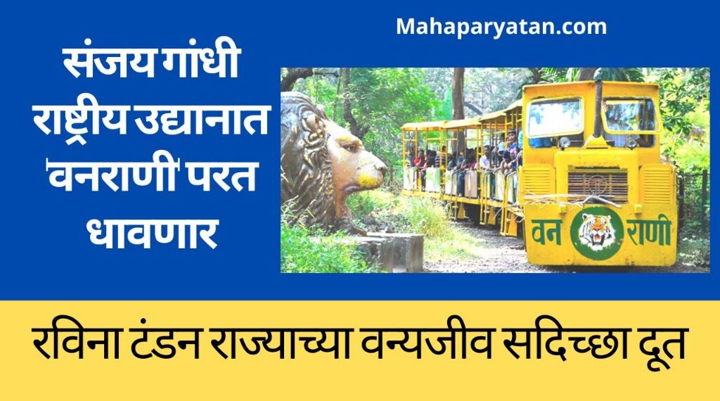 संजय गांधी राष्ट्रीय उद्यानात ‘वनराणी‘ परत धावणार