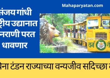 संजय गांधी राष्ट्रीय उद्यानात ‘वनराणी‘ परत धावणार
