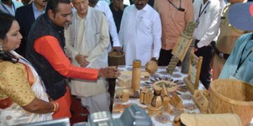 बहुउपयोगी बांबूची शेती फायदेशीर