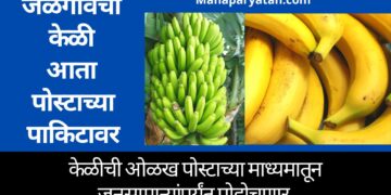जळगावची केळी आता पोस्टाच्या पाकिटावर