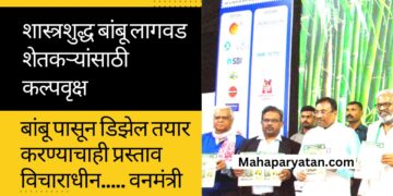 शास्त्रशुद्ध बांबू लागवड शेतकऱ्यांसाठी कल्पवृक्ष
