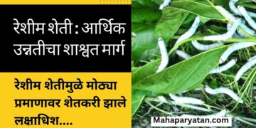 रेशीम शेती : आर्थिक उन्नतीचा शाश्वत मार्ग
