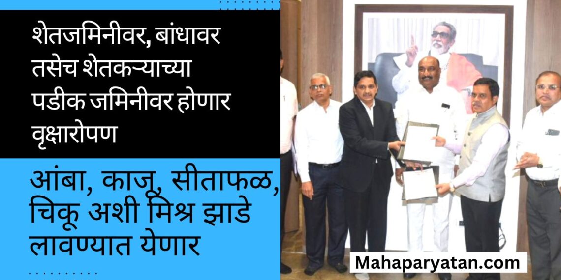 शेतजमिनीवर, बांधावर, शेतकऱ्याच्या पडीक जमिनीवर होणार वृक्षारोपण