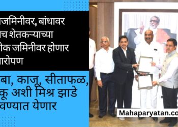 शेतजमिनीवर, बांधावर, शेतकऱ्याच्या पडीक जमिनीवर होणार वृक्षारोपण