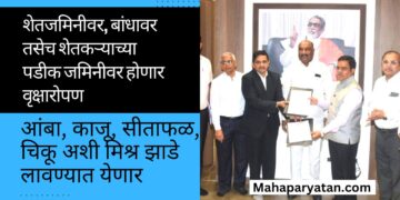 शेतजमिनीवर, बांधावर, शेतकऱ्याच्या पडीक जमिनीवर होणार वृक्षारोपण