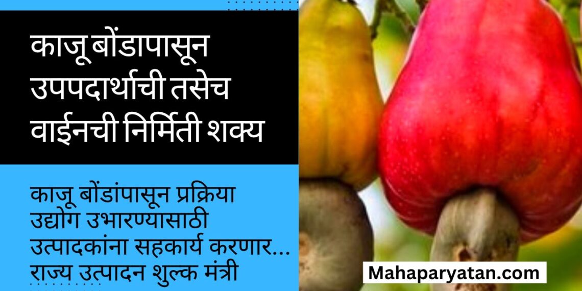 काजू बोंडांपासून प्रक्रिया उद्योग उभारण्यासाठी उत्पादकांना सहकार्य करणार