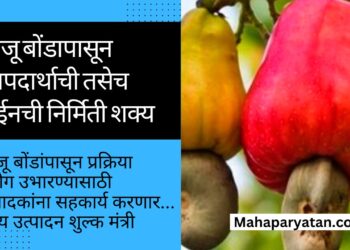 काजू बोंडांपासून प्रक्रिया उद्योग उभारण्यासाठी उत्पादकांना सहकार्य करणार