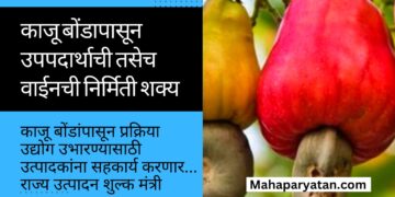 काजू बोंडांपासून प्रक्रिया उद्योग उभारण्यासाठी उत्पादकांना सहकार्य करणार