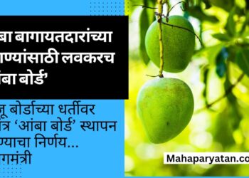 आंबा बागायतदारांच्या मागण्यांसाठी लवकरच ‘आंबा बोर्ड’
