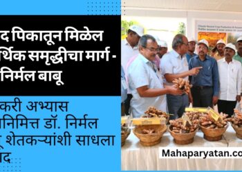 हळद पिकातून मिळेल आर्थिक समृद्धीचा मार्ग – डॉ. निर्मल बाबू