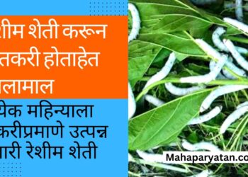रेशीम शेती करून शेतकरी मालामाल