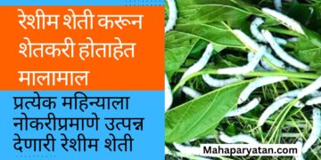 रेशीम शेती करून शेतकरी मालामाल