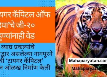 ‘टायगर कॅपिटल ऑफ इंडिया’चे जी-२० पाहुण्यांनाही वेड