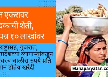 दोन एकरावर अद्रकाची शेती l उत्पन्न १० लाखांवर l