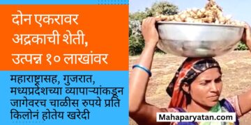 दोन एकरावर अद्रकाची शेती l उत्पन्न १० लाखांवर l