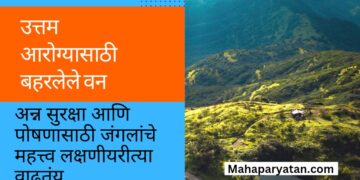 उत्तम आरोग्यासाठी बहरलेले वन