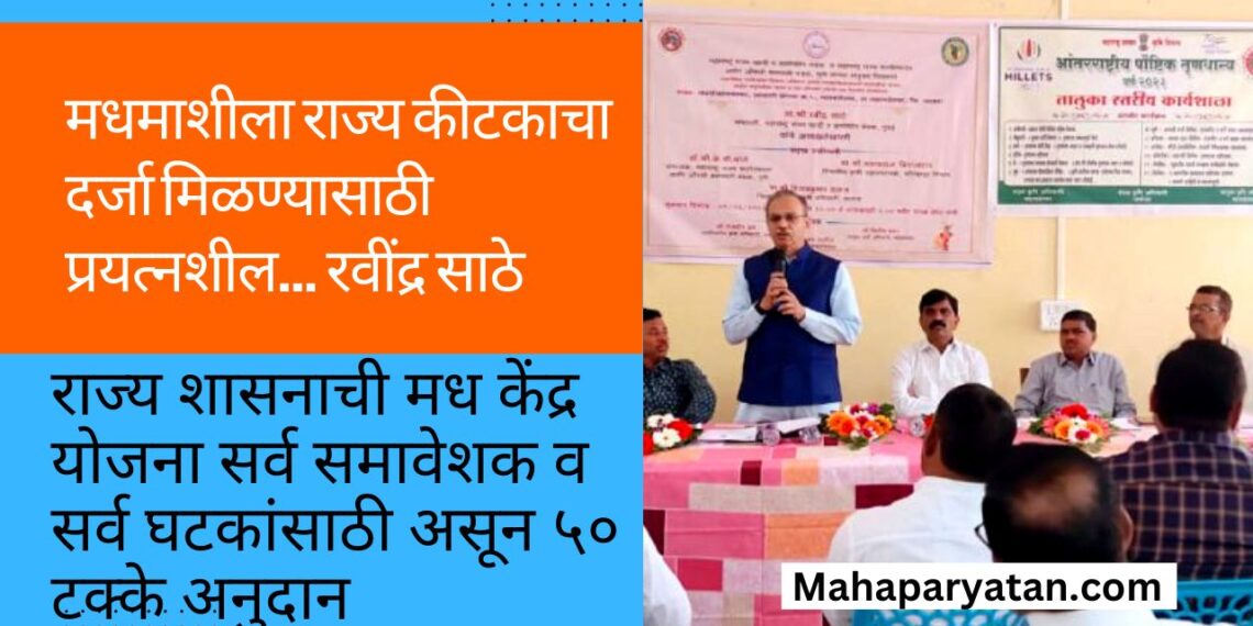 मधमाशीला राज्य कीटकाचा दर्जा मिळण्यासाठी प्रयत्नशील… रवींद्र साठे