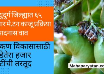 सिंधुदुर्ग जिल्ह्यात ६५ हजार मे.टन काजू प्रक्रिया उत्पादनास वाव