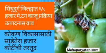 सिंधुदुर्ग जिल्ह्यात ६५ हजार मे.टन काजू प्रक्रिया उत्पादनास वाव