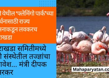 ठाणे येथील ‘फ्लेमिंगो पार्क’च्या संवर्धनासाठी राज्य शासनाकडून लवकरच आराखडा