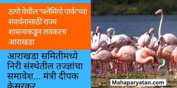 ठाणे येथील ‘फ्लेमिंगो पार्क’च्या संवर्धनासाठी राज्य शासनाकडून लवकरच आराखडा