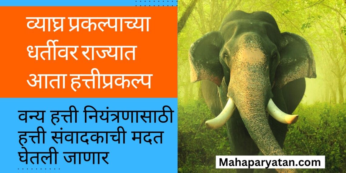 व्याघ्र प्रकल्पाच्या धर्तीवर राज्यात आता हत्तीप्रकल्प