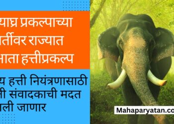 व्याघ्र प्रकल्पाच्या धर्तीवर राज्यात आता हत्तीप्रकल्प