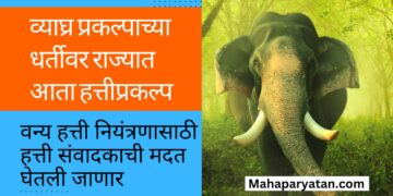 व्याघ्र प्रकल्पाच्या धर्तीवर राज्यात आता हत्तीप्रकल्प