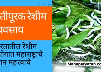 शेतीपूरक रेशीम व्यवसाय