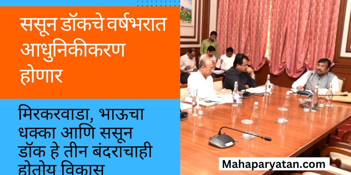 ससून डॉकचे वर्षभरात आधुनिकीकरण होणार