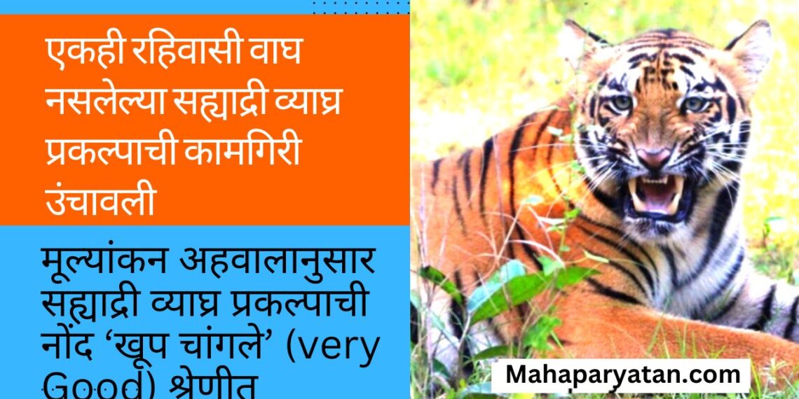 एकही रहिवासी वाघ नसलेल्या सह्याद्री व्याघ्र प्रकल्पाची कामगिरी उंचावली