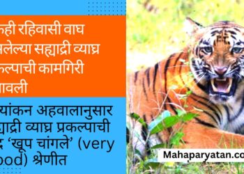 एकही रहिवासी वाघ नसलेल्या सह्याद्री व्याघ्र प्रकल्पाची कामगिरी उंचावली